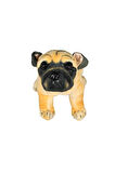 Erkek Çocuk Oyuncak Havlayan Pug Köpek Peluş Oyuncak 25cm Kız Çocuk Eğitici Oyuncaklar