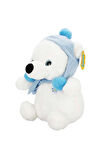 Erkek Çocuk Oyuncak Şapkalı ve Atkılı Peluş Kutup Ayısı 30cm S00004773 Kız Çocuk Eğitici Oyuncaklar