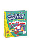 Erkek Çocuk Oyuncak 1536 DıyToy Manyetik Puzzle - Super Zeka / 31 Parça Puzzle / 3-9 yaş Kız Çocuk E