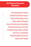 Gül Mayası Aydınlatıcı & Gözenek Sıkılaştırıcı Gül Suyu Cilt Yenileyici Gül Hidrosolü 100ml
