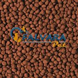 1000 Gram Tropical Cichlid Carnivore Meddium Pellet Büyük Granül Balık Yemi