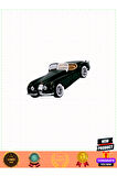 Bburagoo 1:24 Jaguar Xk 120 Roadster Model Araba Kız Erkek Çocuk Oyuncakları Eğitici Oyuncakl