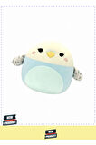 Squishmallowwww Muhabbet Kuşu Tycho 20cm Kız Erkek Çocuk Oyuncakları Eğitici Oyuncaklar