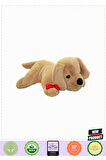 8631 Yatan Peluş Köpek 60cm 5 Litre Kız Erkek Çocuk Oyuncakları Eğitici Oyuncaklar