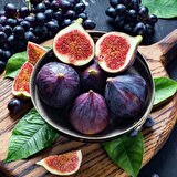 Tüplü Sofralık Kurutmalık Black Mission Erkenci Kendine Verimli İncir Fidanı