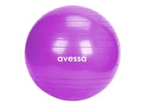 Premium Fitness Esneklik Salon XPT-65-PURPLE Plates Topu Mor 65 cm 1000 gr
