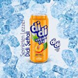 Çaykur Didi Şeftali Aromalı Soğuk Çay 500 Ml X 12 Adet