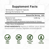 Deal Supplement Berberine Max Supplement with Turmeric, 5,000mg Per Serving, 240 Veggie Capsules