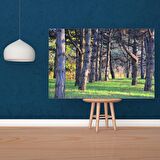 Tuval Üzerine Dijital Baskı Modern Sanatsal Kanvas Tablo 35x50 Tablo-