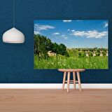 Tuval Üzerine Dijital Baskı Modern Sanatsal Kanvas Tablo 35x50 Tablo-
