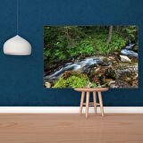 Tuval Üzerine Dijital Baskı Modern Sanatsal Kanvas Tablo 35x50 Tablo-