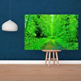 Tuval Üzerine Dijital Baskı Modern Sanatsal Kanvas Tablo 35x50 Tablo-