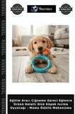 Eğitim Aracı Çiğneme Gereci Eğlence Ürünü Halatlı Disk Köpek Isırma Oyuncağı - Mama Ödüllü Mekanizma