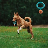 Eğitim Aracı Çiğneme Gereci Eğlence Ürünü Halatlı Disk Köpek Isırma Oyuncağı - Mama Ödüllü Mekanizma