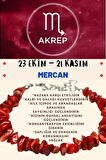 Sertifikalı Burç Taşı Akrep Burcu Mercan Taşı Bileklik