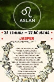 Burç Taşı Aslan Burcu Jasper Taşı Bileklik