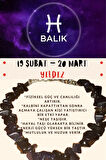 Sertifikalı Burç Taşı Balık Burcu Yıldız Taşı Bileklik