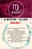Sertifikalı Burç Taşı Başak Burcu Amazonit Taşı Bileklik