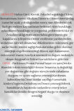 Sertifikalı Hematit & Opal Doğal Taş Kolye