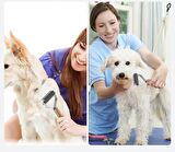 Ahşap Saplı Çift Taraflı Kedi Köpek Bakım Kıtık Tüy Topak Açıcı Metal Dişli Evcil Hayvan Tarağı