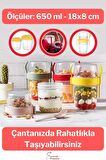 Saklama Kabı Kapaklı Erzak Beslenme Çantası Detox Müsli Diyet Kabı Çok Renkli Container 650 ml