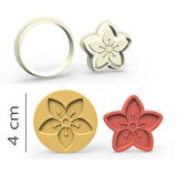 5 Yapraklı Çiçek Kurabiye, Bisküvi, Kolye Ucu, Mühür Kalıp Seti - 4 cm
