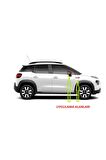 Citroen C1 C2 C3 C4 Yan Aynalar Ve Çamurluk Yanı Damla Desen Bıçak Logo Arma Seti