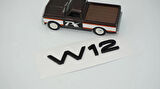 DK Tuning A8 D3 03-17 W12 Siyah Logo Amblem Arma Audi ile Uyumlu