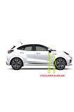 Ford ST Puma Yan Aynalar Ve Çamurluk Yanı Damla Desen Bıçak Logo Arma Seti