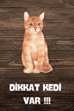 DİKKAT KEDİ VAR TEMALI POSTER DKTK11