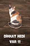 DİKKAT KEDİ VAR TEMALI POSTER DKTK13