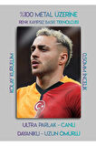 Barış Alper Yılmaz, BAY - Parlak Metal Baskı Tablo