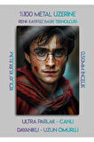 Harry Potter, J. K. Rowling - Parlak Metal Baskı Tablo