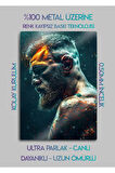 Conor McGregor, UFC - Parlak Metal Baskı Tablo