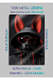 Tavşan Stilist Rabbit - Parlak Metal Tablo