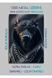 Tarz Köpek, Dog Tablosu - Metal Baskı
