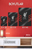 Metal Levha Üzerine - Liverpool LFC, Logo Temalı, Parlak Dekoratif Tablo