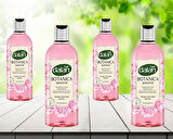 Dalan Botanica Duş Jeli Şakayık 500 ml 4 adet