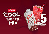 Dimes Cool Beryy Mix 310 Ml X 24 Adet