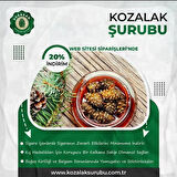 Kozalak Şurubu 475 ml.