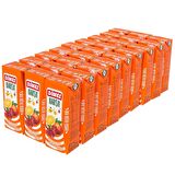 Dimes Karışık Meyve Nektarı 200 Ml X 27 Adet