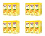 Dimes Kayısı Nektarı 200 Ml X 24 Adet