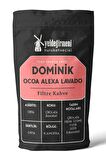 Dominik Ocoa Alexa Lavado Filtre Kahve
