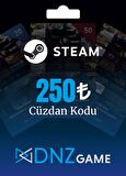 Steam Cüzdan Kodu 250 TL