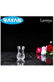 Rayan Lavinya Star 6 lı Çay Bardağı