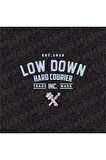 Low Down Hard Courier Arka Cam Hologram Sticker