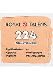 Art Creation Akrilik Boya 75ml 224 Naples Yellow Red