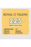 Art Creation Akrilik Boya 750ml 223 Naples Yellow Deep