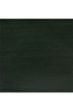 Winsor & Newton Galeria Akrilik Boya 120ml Hooker’s Green 311
