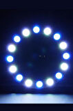 WS2812B Matrix Dijital Yuvarlak Pixel Led 24 Led Halka ARGB Magic Led Ayrı Ayrı Adresli Matrix  Ekran 5V Dış Çap 73mm İç Çap 54mm